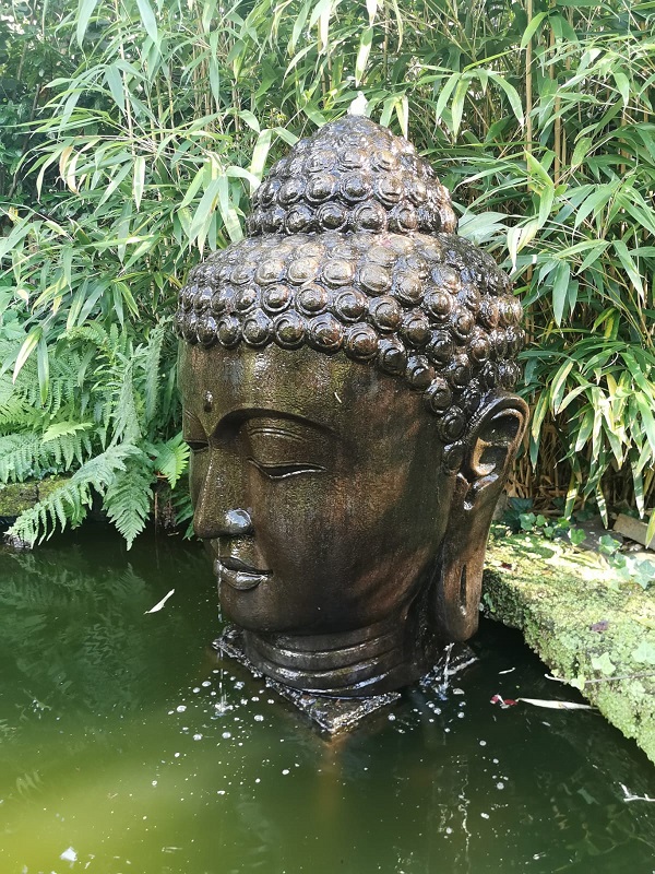 BUDDHA KOPF mit Fontaine